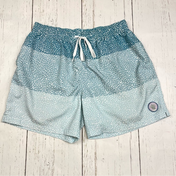 chubbies Other - Chubbies The Whale Shark Stretch Swim‎ Trunks *5.5”